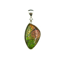 Ammolite Rainbow Fire Fossil Slice Sterling Silver Pendant