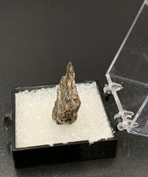 Astrophyllite #1 Thumbnail Specimen (Khibiny Massif, Russia)