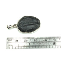 Trilobite Natural Fossil Slice Sterling Silver Pendant