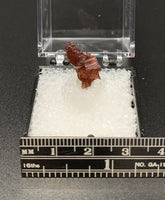 Garnet Spessartine #7 Thumbnail Specimen (Navegadora, Brazil)