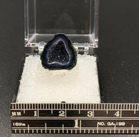 Tabasco Geode #8 Thumbnail Specimen (Tabasco, Mexico)
