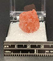 Fluorapophyllite #1 Pink Apophyllite Thumbnail Specimen (Maharashtra, India)