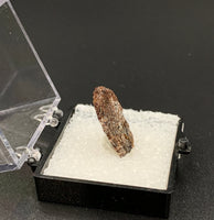 Astrophyllite #8 Thumbnail Specimen (Khibiny Massif, Russia)