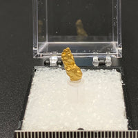 Gold #1 Thumbnail Specimen (Dunolly, Australia)