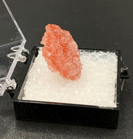 Fluorapophyllite #1 Pink Apophyllite Thumbnail Specimen (Maharashtra, India)