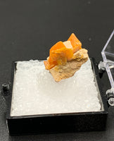 Wulfenite #6 (Midelt Province, Morocco)