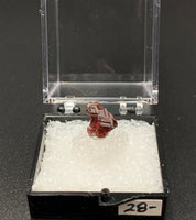 Garnet Spessartine #1 Thumbnail Specimen (Navegadora, Brazil)