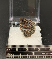 Astrophyllite #1 Thumbnail Specimen (Khibiny Massif, Russia)