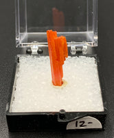 Crocoite #1 (Adelaide Mine, Tasmania)
