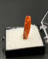 Crocoite #3 (Adelaide Mine, Tasmania)
