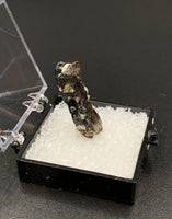 Astrophyllite #3 Thumbnail Specimen (Khibiny Massif, Russia)