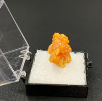 Pyromorphite #7 Thumbnail Specimen (Bunker Hill Mine, Shoshone Co., Idaho)