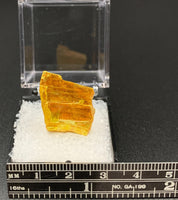 Orpiment #1 Special Care Thumbnail Specimen (Senduchen, Russia)