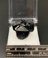 Schorl #3 Black Tourmaline Thumbnail Specimen (Karibib, Erongo, Namibia)