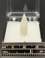 Calcite Dogtooth #5 (India)