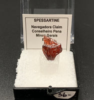Garnet Spessartine #8 Thumbnail Specimen (Navegadora, Brazil)
