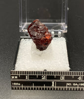 Garnet Spessartine #11 Thumbnail Specimen (Navegadora, Brazil)
