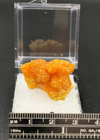 Pyromorphite #7 Thumbnail Specimen (Bunker Hill Mine, Shoshone Co., Idaho)