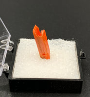 Crocoite #6 (Adelaide Mine, Tasmania)