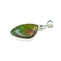 Ammolite Rainbow Fire Fossil Slice Sterling Silver Pendant