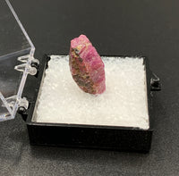 Ruby #1 Raw Thumbnail Specimen (John Saul Mine, Kenya)