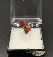 Garnet Spessartine #7 Thumbnail Specimen (Navegadora, Brazil)