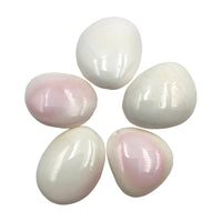 Pink Conch Shell Bead (1) Tumbled Polished Shell