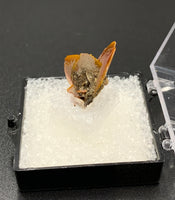 Wulfenite #3 (Jianshan, China)