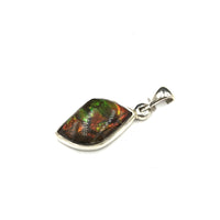 Ammolite Rainbow Fire Fossil Slice Sterling Silver Pendant