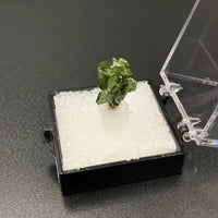 Garnet #2 (Grossular) Thumbnail Specimen (Brazil)