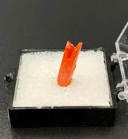 Crocoite #6 (Adelaide Mine, Tasmania)