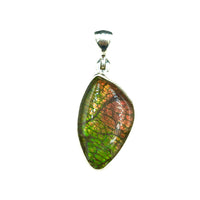 Ammolite Rainbow Fire Fossil Slice Sterling Silver Pendant