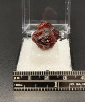 Garnet Spessartine #5 Thumbnail Specimen (Navegadora, Brazil)