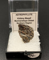 Astrophyllite #1 Thumbnail Specimen (Khibiny Massif, Russia)