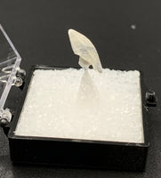 Calcite Dogtooth #3 (India)