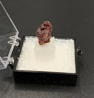 Garnet Spessartine #3 Thumbnail Specimen (Navegadora, Brazil)