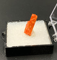 Crocoite #5 (Adelaide Mine, Tasmania)