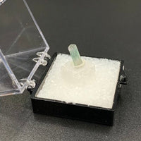 Tourmaline #4 Elbaite Bicolored Thumbnail Specimen (Paprok, Afghanistan)