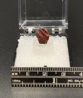 Garnet Spessartine #6 Thumbnail Specimen (Navegadora, Brazil)