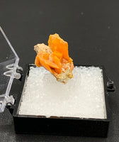 Wulfenite #6 (Midelt Province, Morocco)