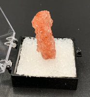 Fluorapophyllite #5 Pink Apophyllite Thumbnail Specimen (Maharashtra, India)