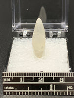 Calcite Dogtooth #1 (India)