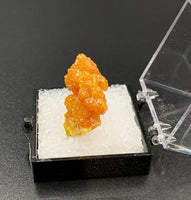 Pyromorphite #7 Thumbnail Specimen (Bunker Hill Mine, Shoshone Co., Idaho)