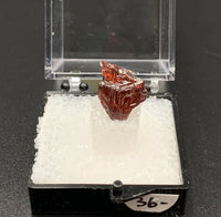 Garnet Spessartine #8 Thumbnail Specimen (Navegadora, Brazil)