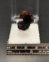 Garnet Spessartine #10 Thumbnail Specimen (Navegadora, Brazil)