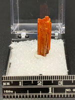 Crocoite #3 (Adelaide Mine, Tasmania)