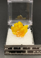 Pyromorphite #6 Thumbnail Specimen (Bunker Hill Mine, Shoshone Co., Idaho)