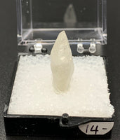 Calcite Dogtooth #4 (India)