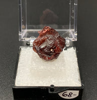 Garnet Spessartine #5 Thumbnail Specimen (Navegadora, Brazil)