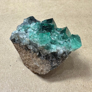 Hidden Forest Green Daylight UV Fluorite “D” Mineral Specimen (Diana Maria Mine, Weardale, England)